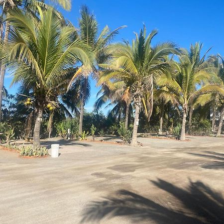 Bungalows Laguna Del Tule San Patricio Melaque Buitenkant foto